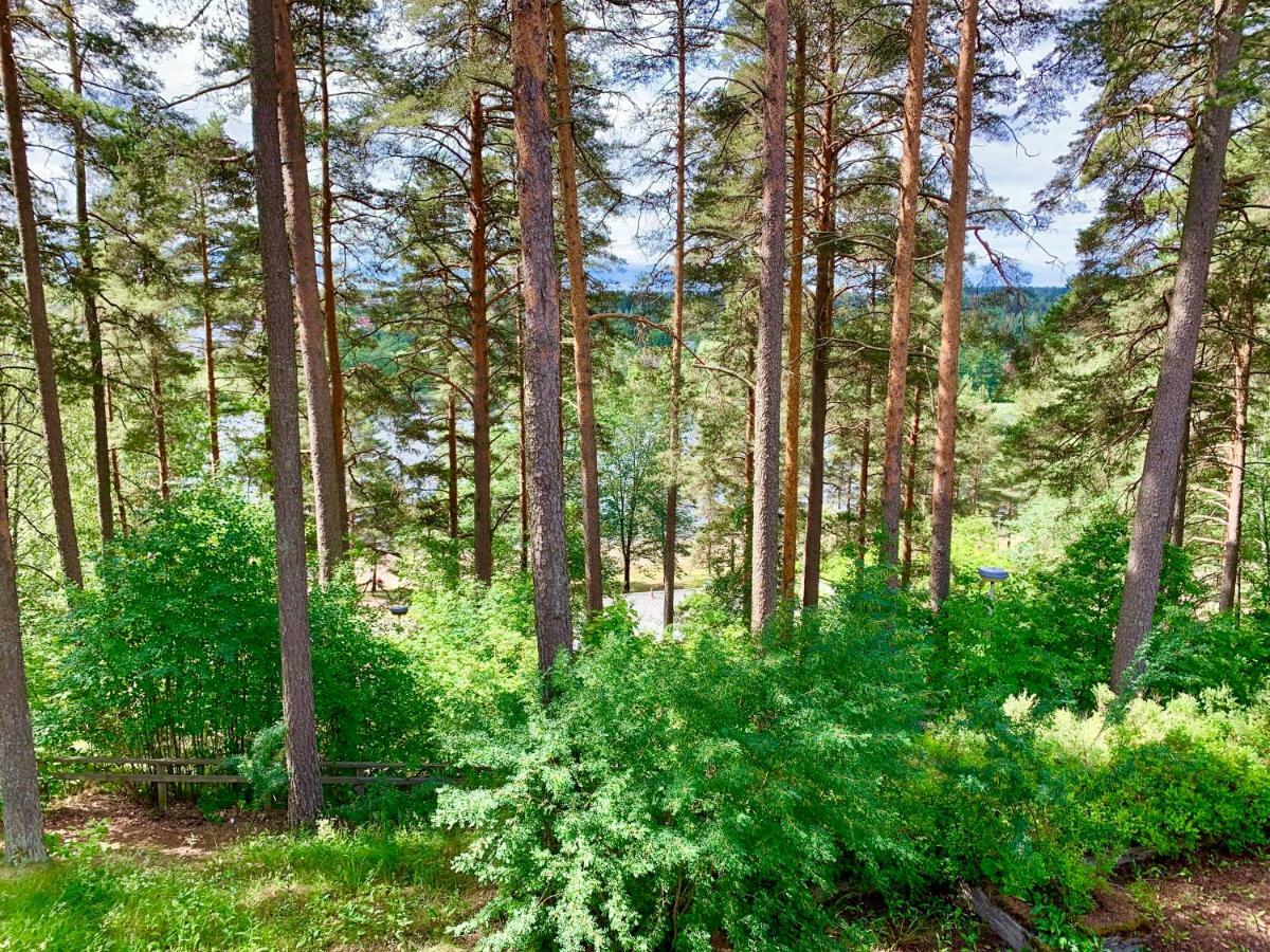 Hotelli Mesku Форсса Экстерьер фото